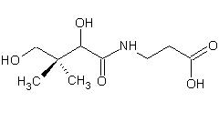 Pantothenic acid.JPG