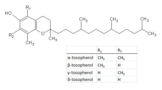 Tocopherols.jpg