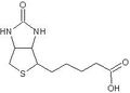 Biotin.JPG